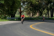 L3836091