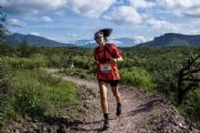 V3886238