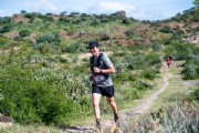 S3881782