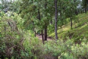 B3898292