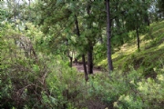 B3898621