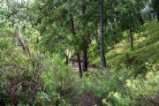 B3898862