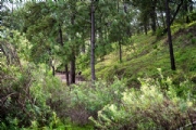 B3898888