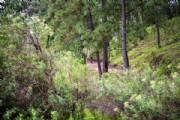 D3898766