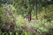 G3898514