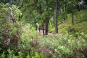 S3898182