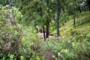 S3898614