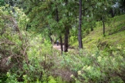S3898742