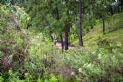 S3898776