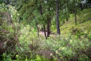 T3898605