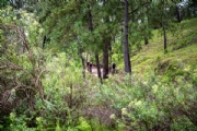 T3898606
