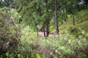 T3899022