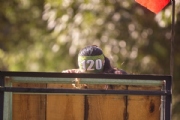 L3902445