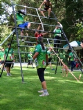 M3903133