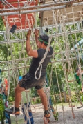 W3904176