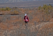 S3908564