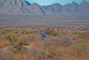 Y3908477