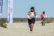 H3913608