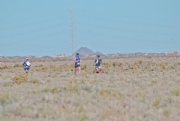 N3907346