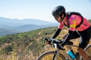 A3917895