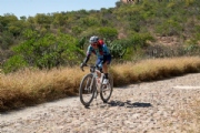 D3917719