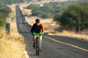 P3918368