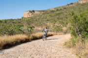 J3915606