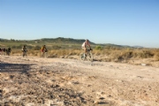 D3918792
