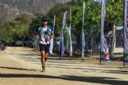 B3932944