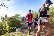 I3932520