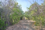 Y3934830