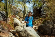 K3931562
