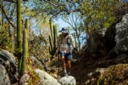 P3931905