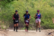 V3941074