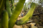 U3936532