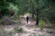 T3925595