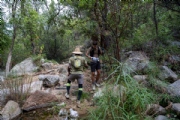 X3926256