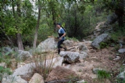 Y3926345