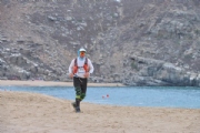 Y3939161