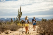 Y3938036