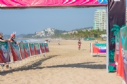 T3930538