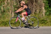 W3950848