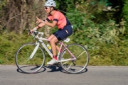 W3951057