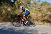 W3952199