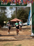 T3955687