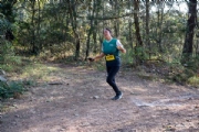 J3953370