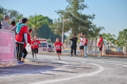 P3958785