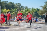 T3958624