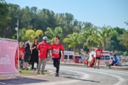 T3958725