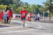 T3959188